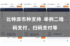 比特派币种支持 举例二维码支付、扫码支付等
