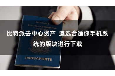 比特派去中心资产 遴选合适你手机系统的版块进行下载