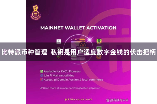 比特派币种管理 私钥是用户适度数字金钱的伏击把柄
