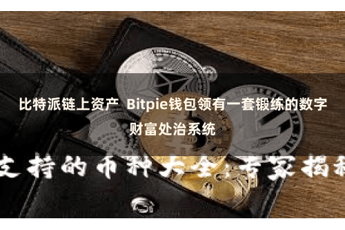 比特派链上资产  Bitpie钱包领有一套锻练的数字财富处治系统