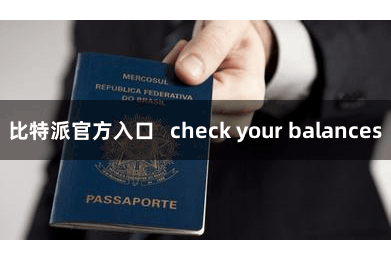 比特派官方入口   check your balances