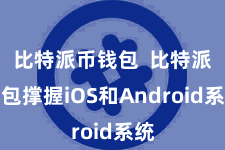 比特派币钱包  比特派钱包撑握iOS和Android系统