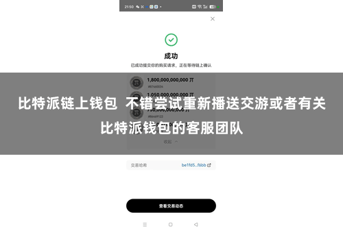 比特派链上钱包  不错尝试重新播送交游或者有关比特派钱包的客服团队