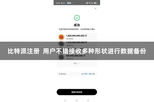 比特派注册  用户不错接收多种形状进行数据备份