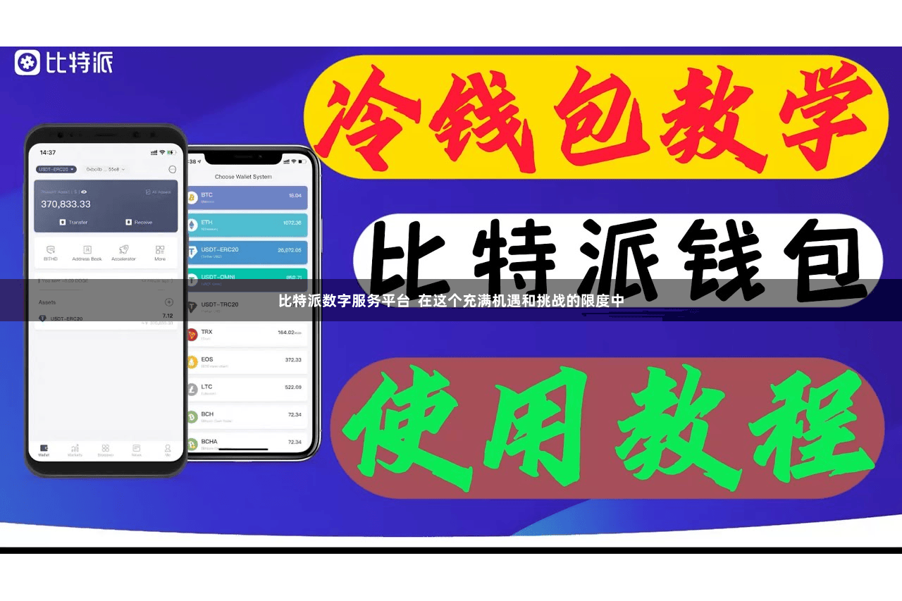 比特派数字服务平台  在这个充满机遇和挑战的限度中