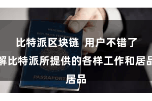 比特派区块链  用户不错了解比特派所提供的各样工作和居品