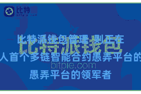 比特派钱包管理  则正在成为人人首个多链智能合约愚弄平台的领军者