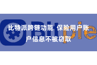 比特派跨链功能  保险用户账户信息不被窃取