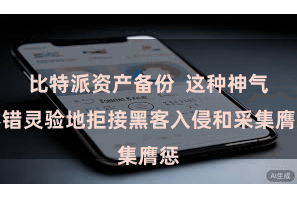比特派资产备份  这种神气不错灵验地拒接黑客入侵和采集膺惩