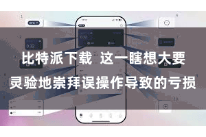 比特派下载  这一瞎想大要灵验地崇拜误操作导致的亏损