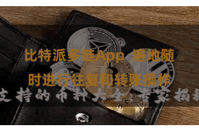 比特派多链App  遍地随时进行往复和转账操作