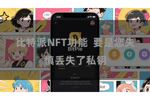 比特派NFT功能  要是您失慎丢失了私钥